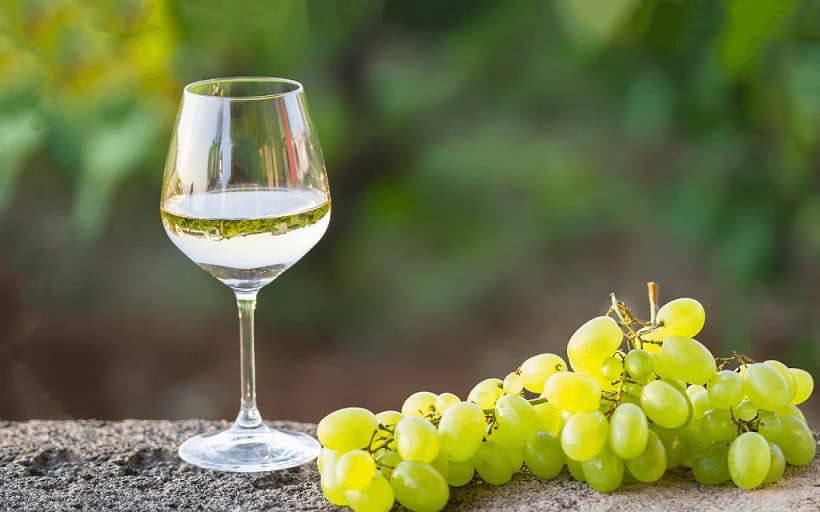 vini bianchi italiani