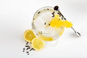 gin fizz cocktail