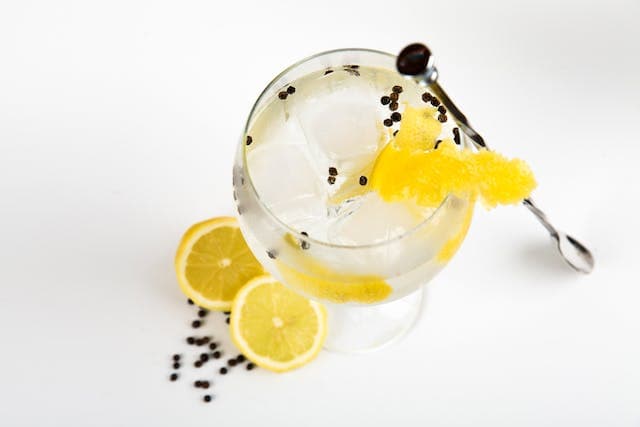 gin fizz cocktail