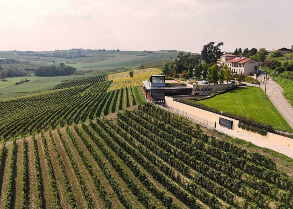 Dove nasce il vino autentico dentro le aziende vinicole del Monferrato