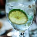 L’evoluzione del gin tra storia e nuove tendenze della miscelazione