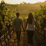 Enoturismo in Val d’Orcia: esperienze autentiche tra vigneti